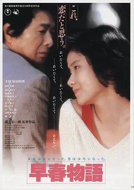银行大劫案 海报